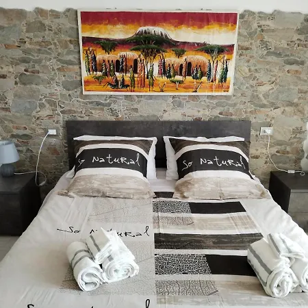 Casa Shanty *